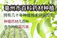 中草药种植前景排名 part-003341-1090.jpg