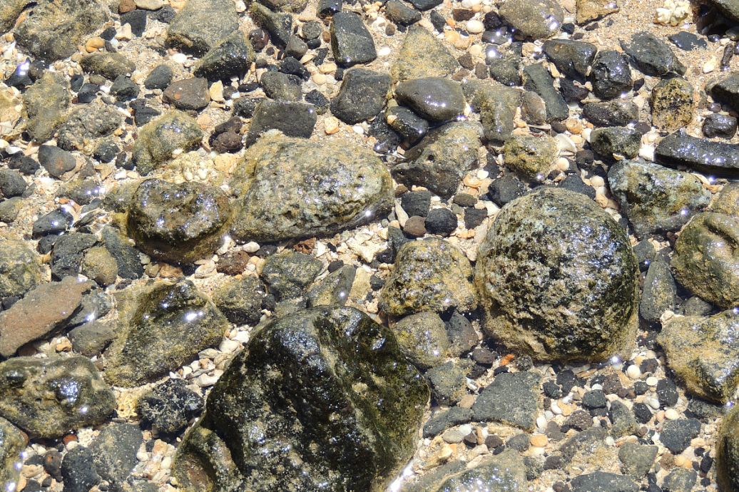part-00175-820.jpg