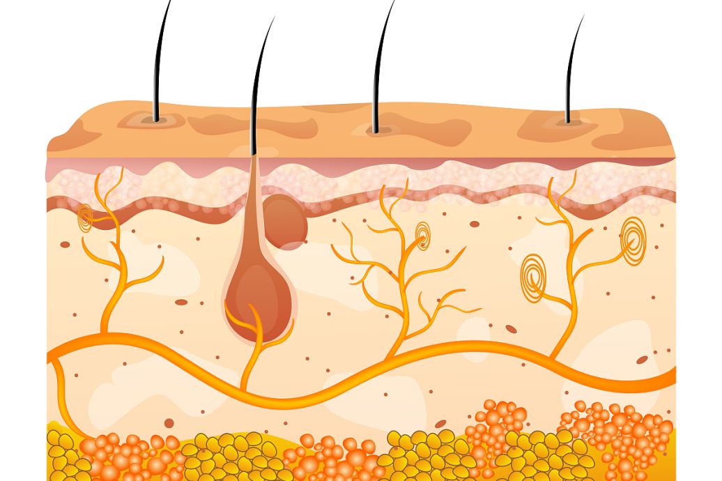 怎样去除脚上的老皮 part-00345-875.jpg