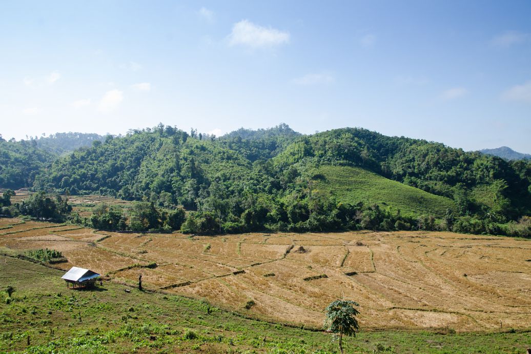 part-01209-791.jpg
