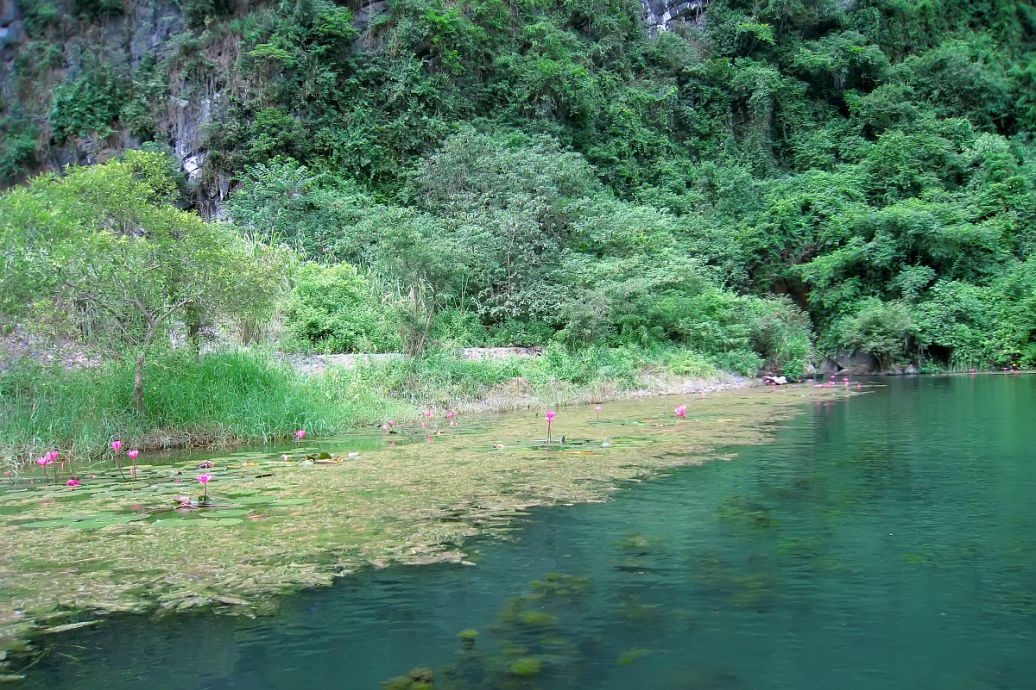 荔波人口_总有想念被成全 探寻世界遗产地 荔波大小七孔 河池姆洛甲女神峡