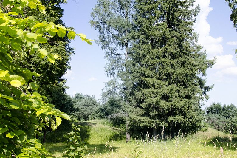 part-01612-576.jpg