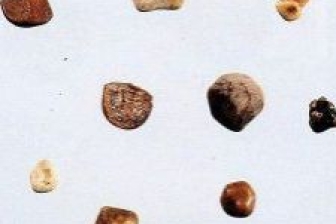 part-00523-887.jpg