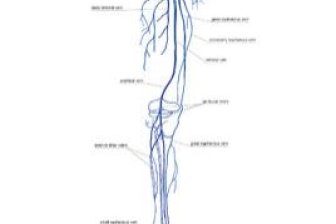 正中神经损伤的症状表现 part-00754-430.jpg