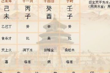 part-00774-1132.jpg