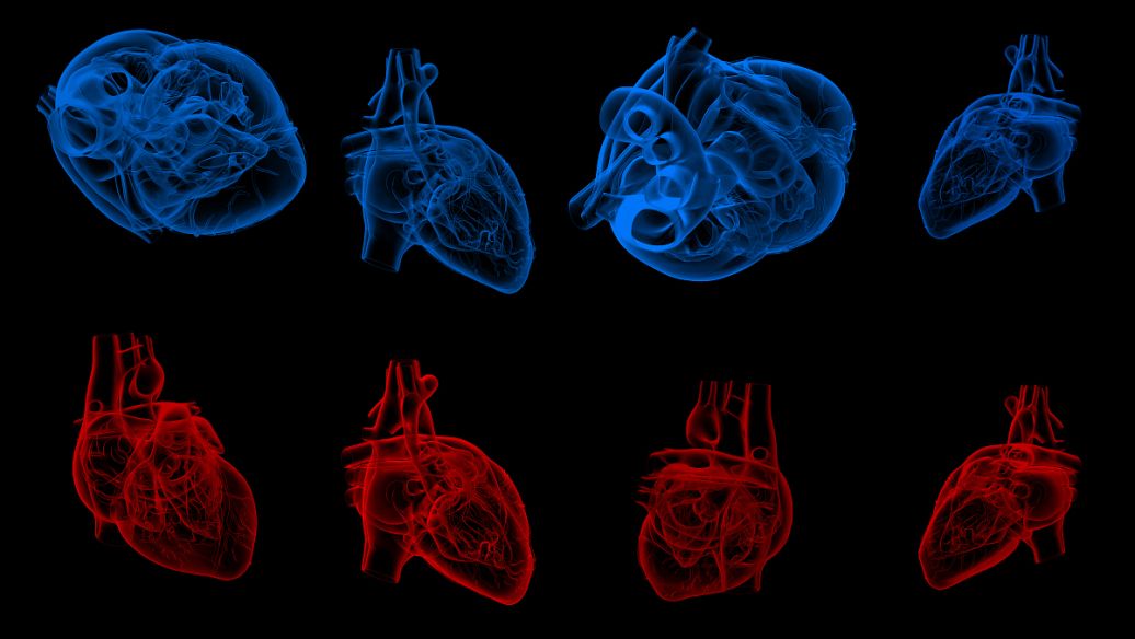 5-Amino-1MQ Mitochondrial | Shaanxi BLOOM Tech Co., Ltd 5-Amino-1MQ Mitochondrial | Shaanxi BLOOM Tech Co., Ltd
