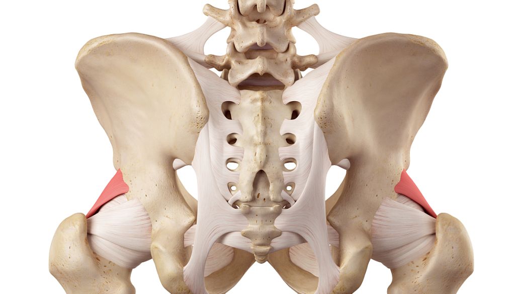 Orforglipron price | Shaanxi BLOOM Tech Co., Ltd