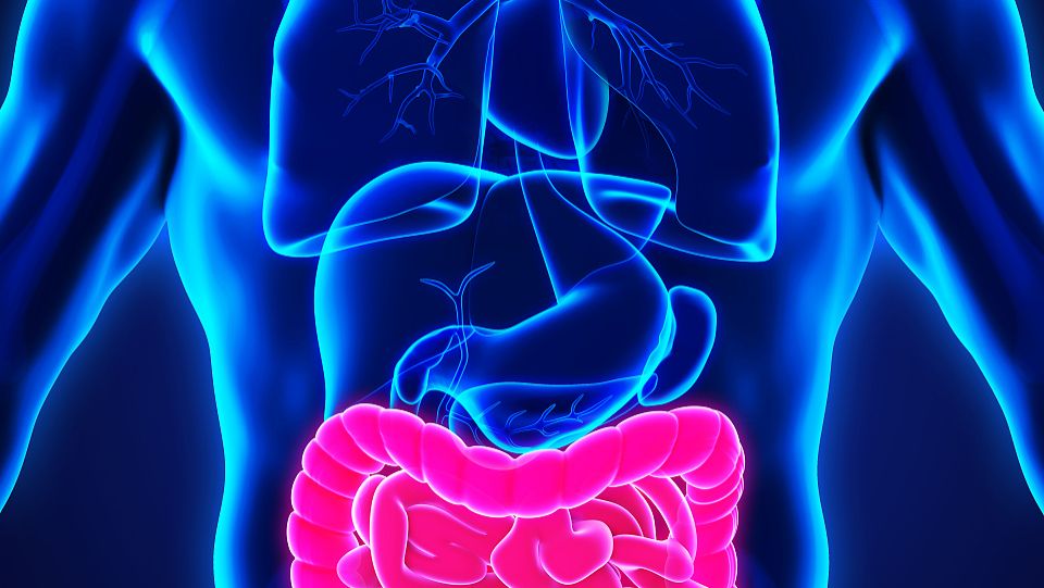 Octreotide uses | Shaanxi BLOOM Tech Co., Ltd Octreotide uses | Shaanxi BLOOM Tech Co., Ltd