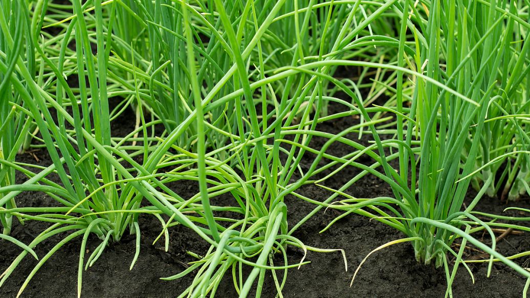 拓殖大学 吧 百度贴吧 促进友谊 相互交流 促进友谊 相互交流 让我们的留学生活更加的丰富多彩 友好而又和谐的交流环境是尤为重要 所以需要每一个朋友的努力才创造更好的学习氛围 更加高质量的学习生活