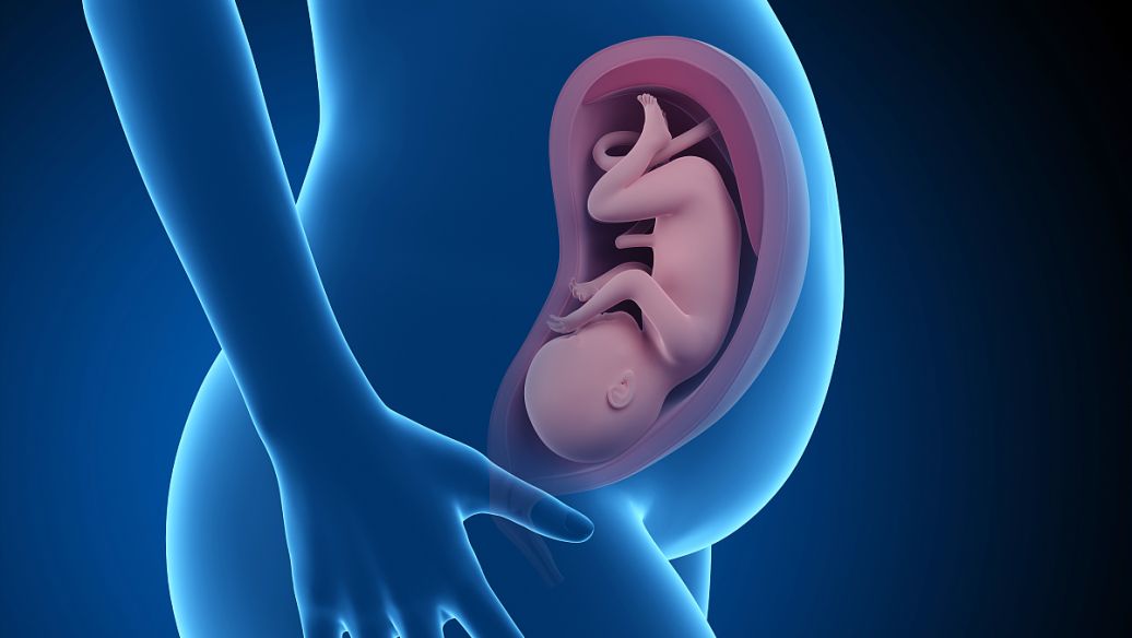 oxytocin body | Shaanxi BLOOM Tech Co., Ltd oxytocin body | Shaanxi BLOOM Tech Co., Ltd