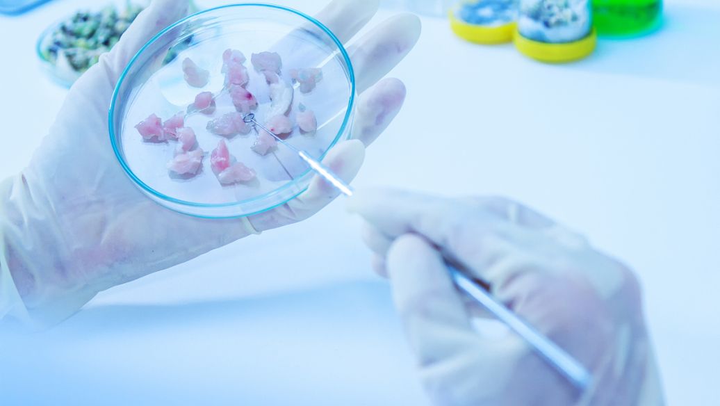 GHRP-6 drug | Shaanxi BLOOM Tech Co., Ltd GHRP-6 drug | Shaanxi BLOOM Tech Co., Ltd