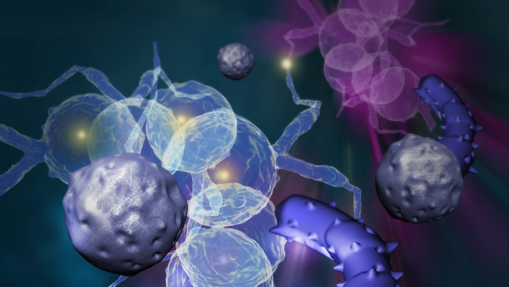 L-Selenomethionine uses | Shaanxi BLOOM Tech Co., Ltd L-Selenomethionine uses | Shaanxi BLOOM Tech Co., Ltd