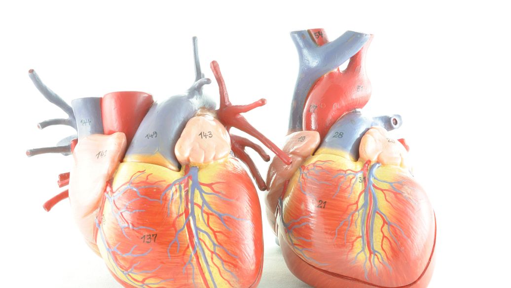 Gimeracil uses | Shaanxi BLOOM Tech Co., Ltd Gimeracil uses | Shaanxi BLOOM Tech Co., Ltd