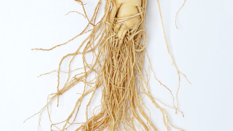 狼毒的功效与作用