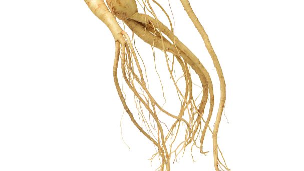 甘草功效与作用