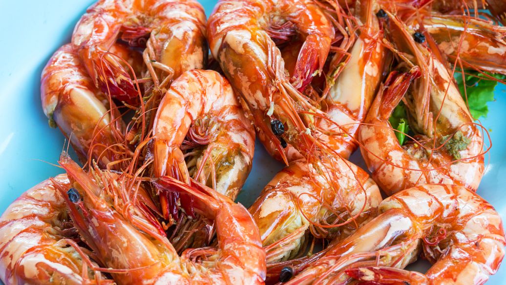 飞雪星月吧 百度贴吧