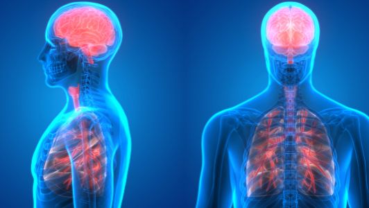 Calcitonin salmon buy | Shaanxi BLOOM Tech Co., Ltd Calcitonin salmon buy | Shaanxi BLOOM Tech Co., Ltd