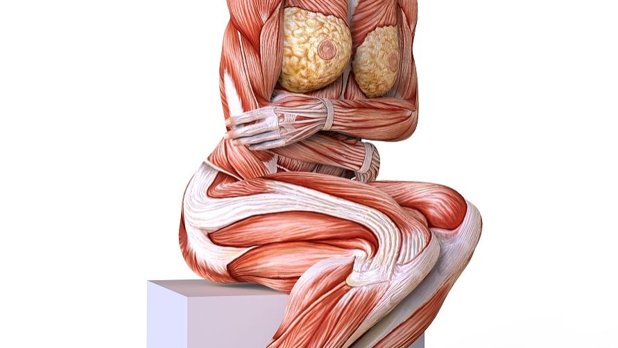 SLU-PP-332 price | Shaanxi BLOOM Tech Co., Ltd SLU-PP-332 price | Shaanxi BLOOM Tech Co., Ltd