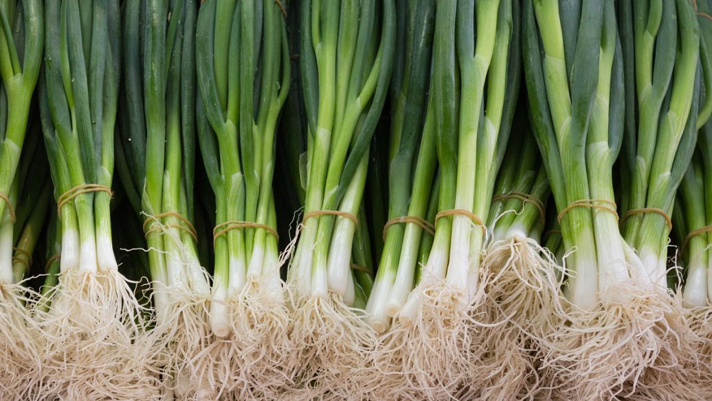 韭菜根的功效与作用