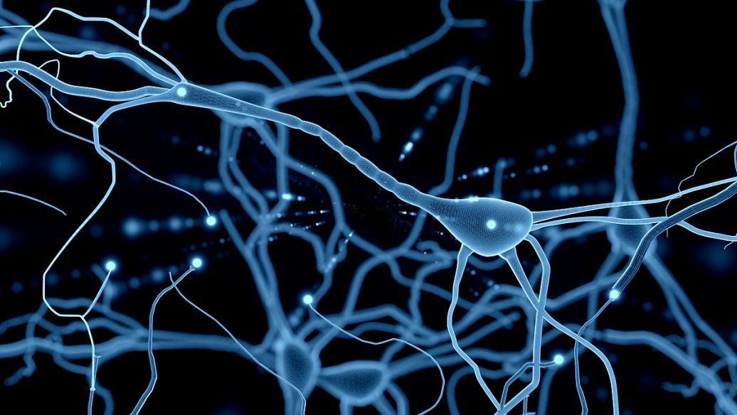 Bioglutide NA-931 buy | Shaanxi BLOOM Tech Co., Ltd Bioglutide NA-931 buy | Shaanxi BLOOM Tech Co., Ltd