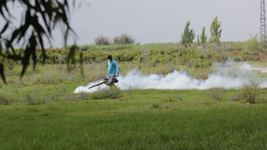 Ciclopirox ethanolamine | Shaanxi BLOOM Tech Co., Ltd Ciclopirox ethanolamine | Shaanxi BLOOM Tech Co., Ltd