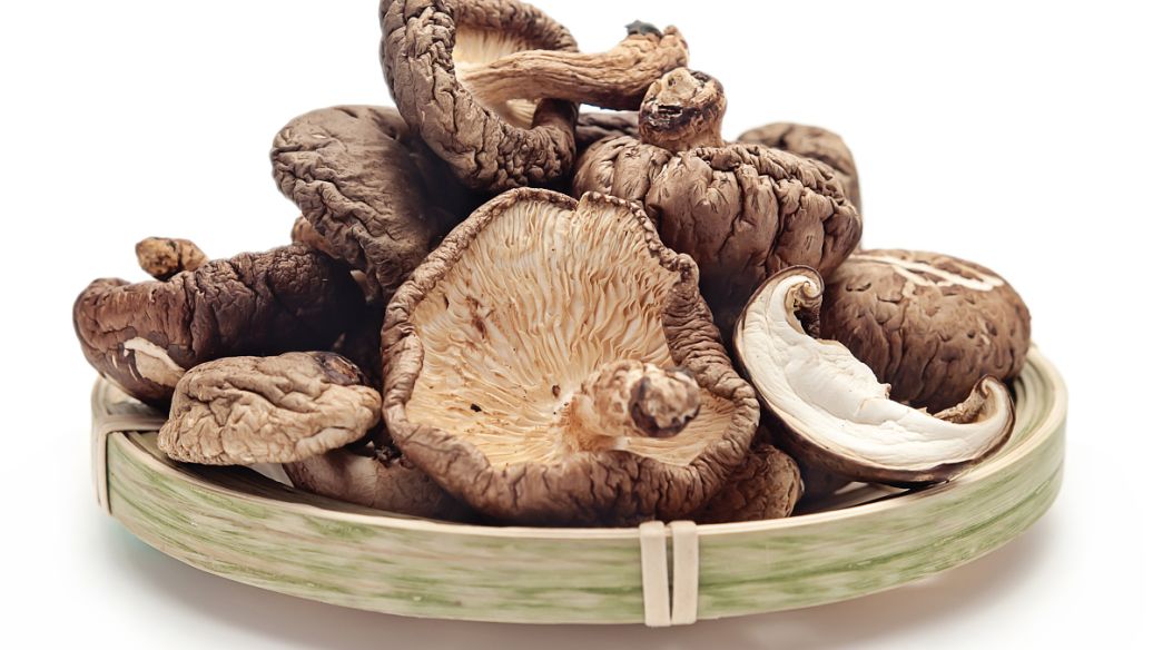 金蝉花的功效与作用