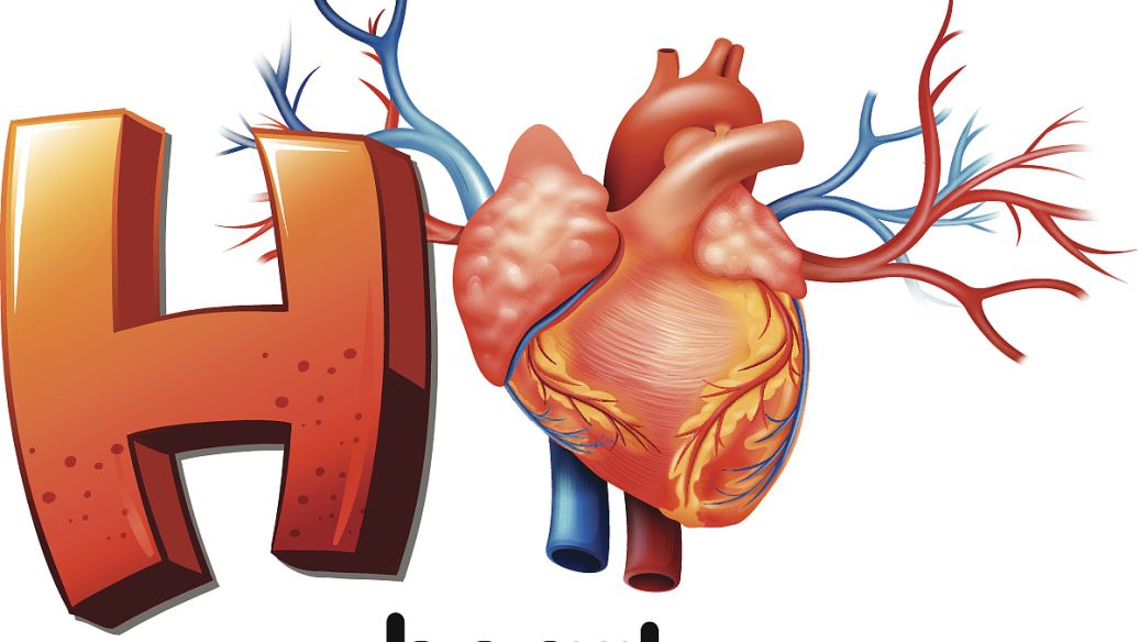 Vinpocetine uses | Shaanxi BLOOM Tech Co., Ltd Vinpocetine uses | Shaanxi BLOOM Tech Co., Ltd