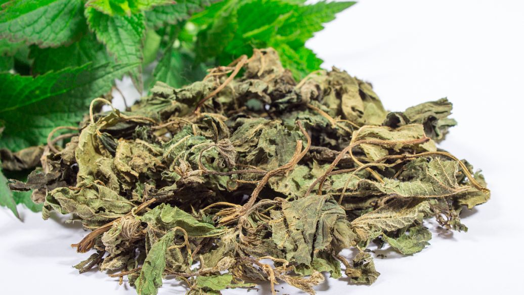 紫苏的功效和作用