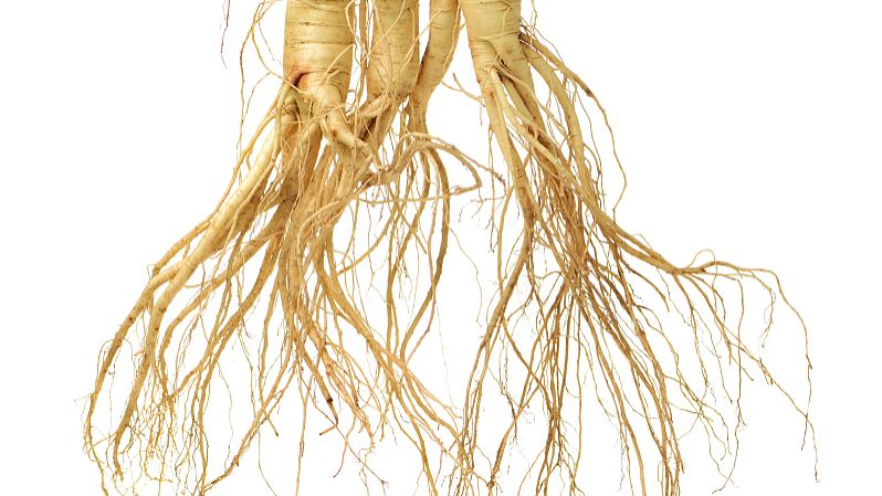 石菖蒲的功效和作用