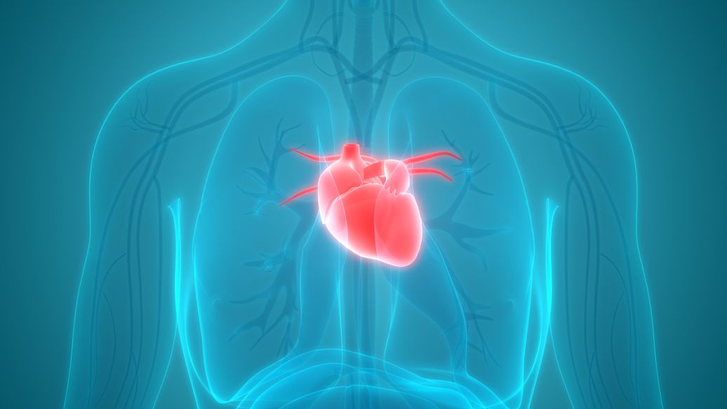 Opiorphin reations | Shaanxi BLOOM Tech Co., Ltd Opiorphin reations | Shaanxi BLOOM Tech Co., Ltd