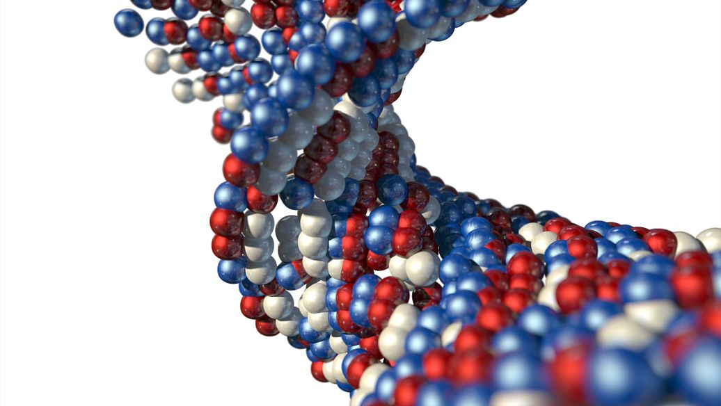 Glutathione stress | Shaanxi BLOOM Tech Co., Ltd Glutathione stress | Shaanxi BLOOM Tech Co., Ltd