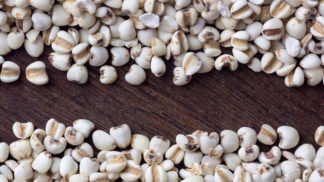 川贝母功效与作用