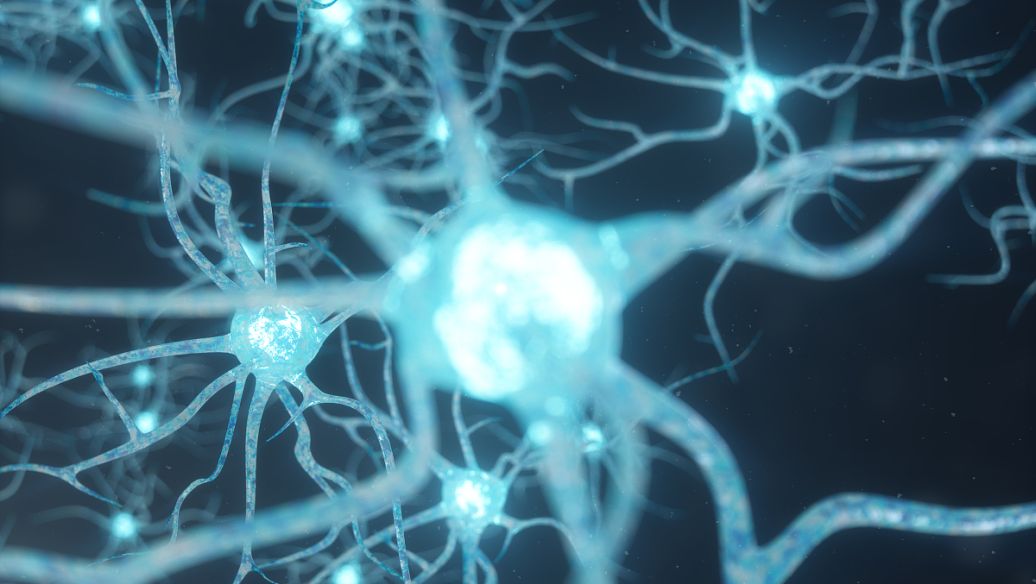 MOTS-c cost | Shaanxi BLOOM Tech Co., Ltd MOTS-c cost | Shaanxi BLOOM Tech Co., Ltd