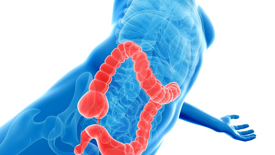 GABA uses | Shaanxi BLOOM Tech Co., Ltd GABA uses | Shaanxi BLOOM Tech Co., Ltd