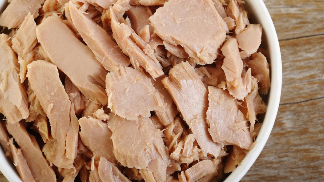 香蒲的功效与作用