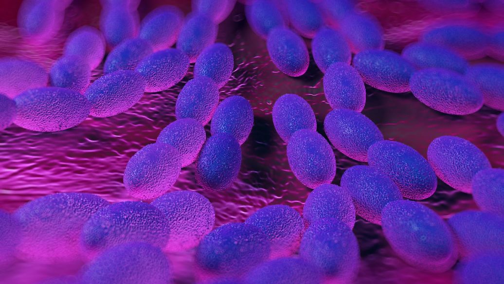 Chlortetracycline Gram positive bacteria | Shaanxi BLOOM Tech Co., Ltd