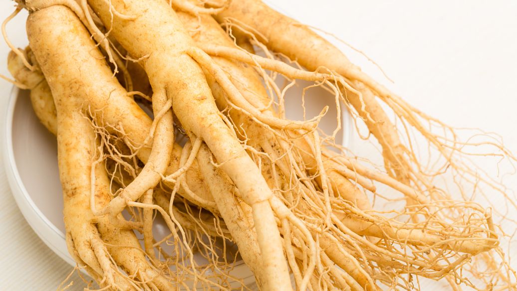 龙葵子的功效与作用