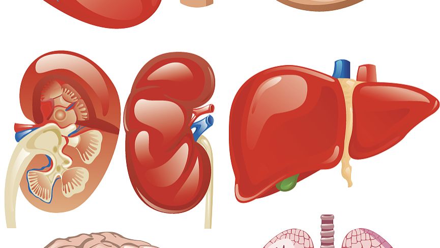 TUBERCIDIN Precautions | Shaanxi BLOOM Tech Co., Ltd TUBERCIDIN Precautions | Shaanxi BLOOM Tech Co., Ltd