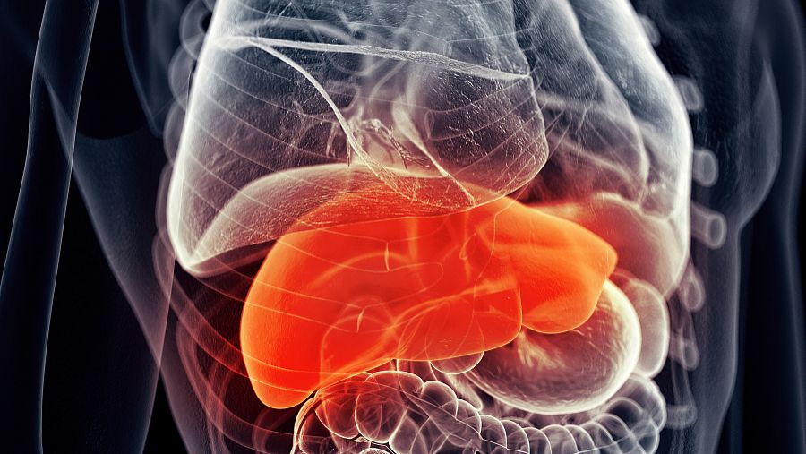 Teriparatide purchase | Shaanxi BLOOM Tech Co., Ltd Teriparatide purchase | Shaanxi BLOOM Tech Co., Ltd