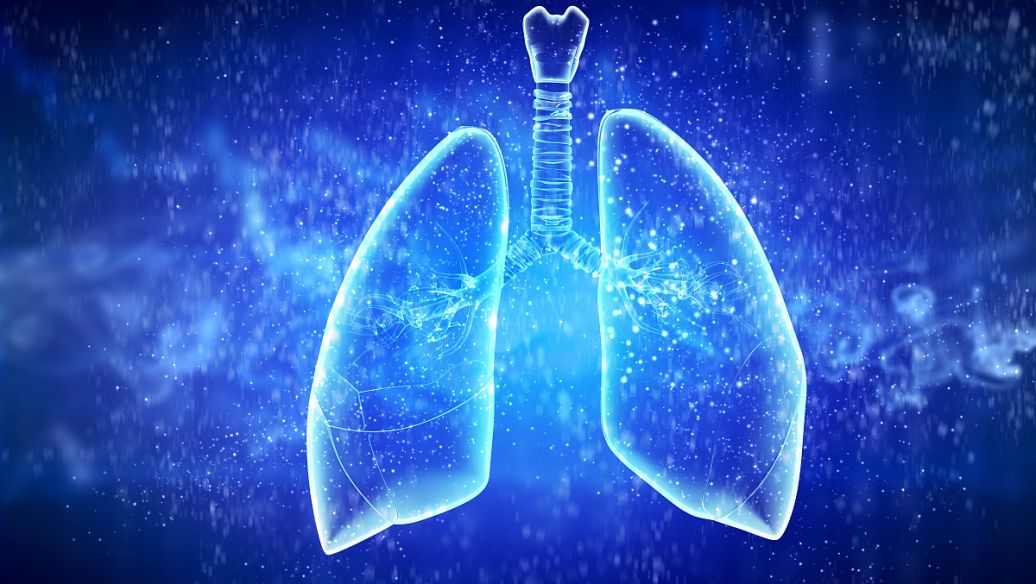 Tetrabutylammonium borohydride respiratory system | Shaanxi BLOOM Tech Co., Ltd Tetrabutylammonium borohydride respiratory system | Shaanxi BLOOM Tech Co., Ltd