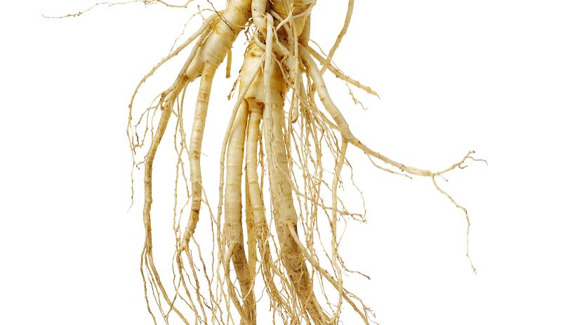 山奈的功效与作用