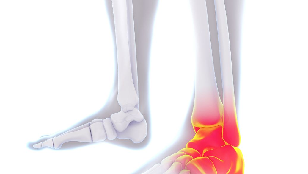 TB 500 function | Shaanxi BLOOM Tech Co., Ltd TB 500 function | Shaanxi BLOOM Tech Co., Ltd