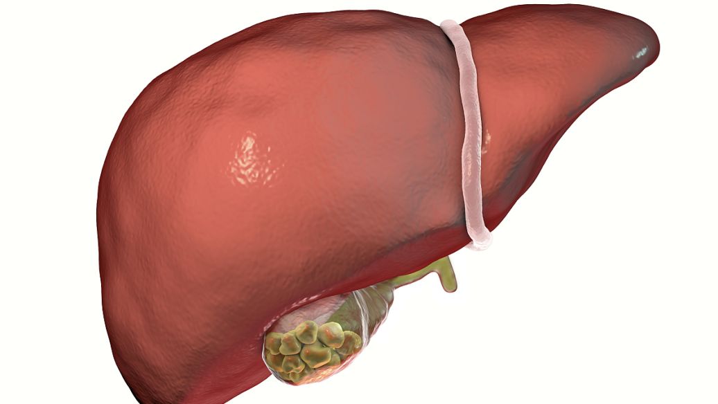 Tirzepatide uses | Shaanxi BLOOM Tech Co., Ltd Tirzepatide uses | Shaanxi BLOOM Tech Co., Ltd