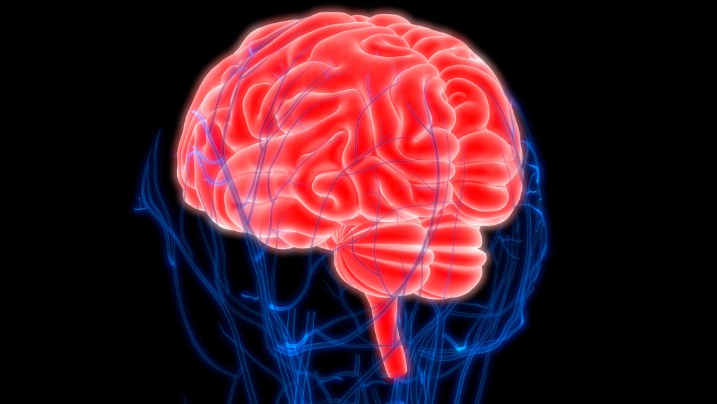 Eledoisin uses | Shaanxi BLOOM Tech Co., Ltd Eledoisin uses | Shaanxi BLOOM Tech Co., Ltd