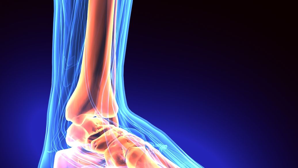 TB 500 joint pain | Shaanxi BLOOM Tech Co., Ltd TB 500 joint pain | Shaanxi BLOOM Tech Co., Ltd