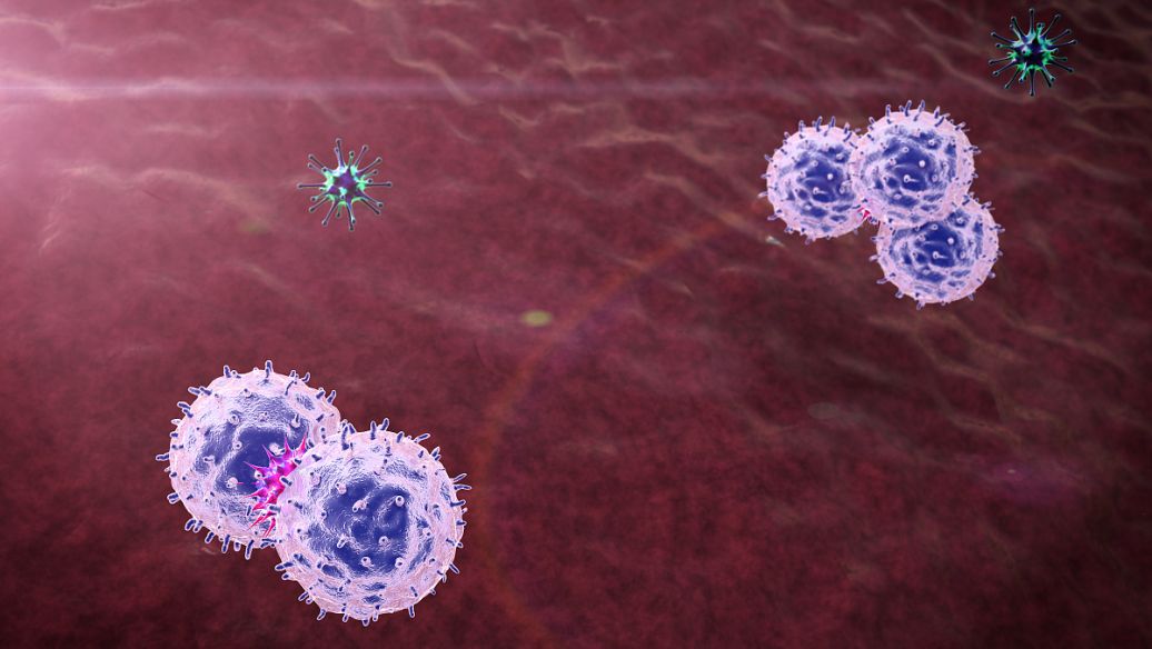 KPV viral | Shaanxi BLOOM Tech Co., Ltd KPV viral | Shaanxi BLOOM Tech Co., Ltd