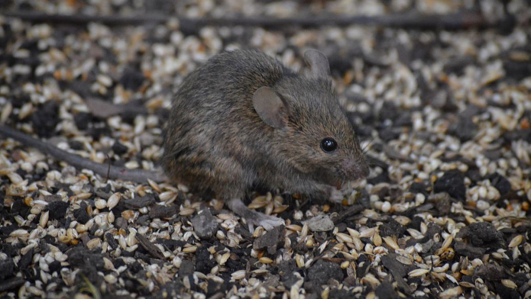 岫岩二中吧 百度贴吧