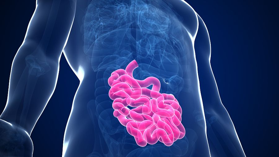 Hexarelin Physical Stability | Shaanxi BLOOM Tech Co., Ltd Hexarelin Physical Stability | Shaanxi BLOOM Tech Co., Ltd