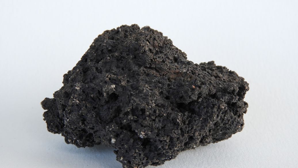 蒿本的功效与作用