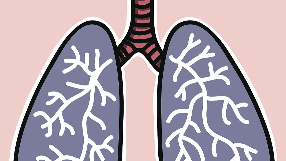 Scopolamine uses CAS 51-34-3 | Shaanxi BLOOM Tech Co., Ltd